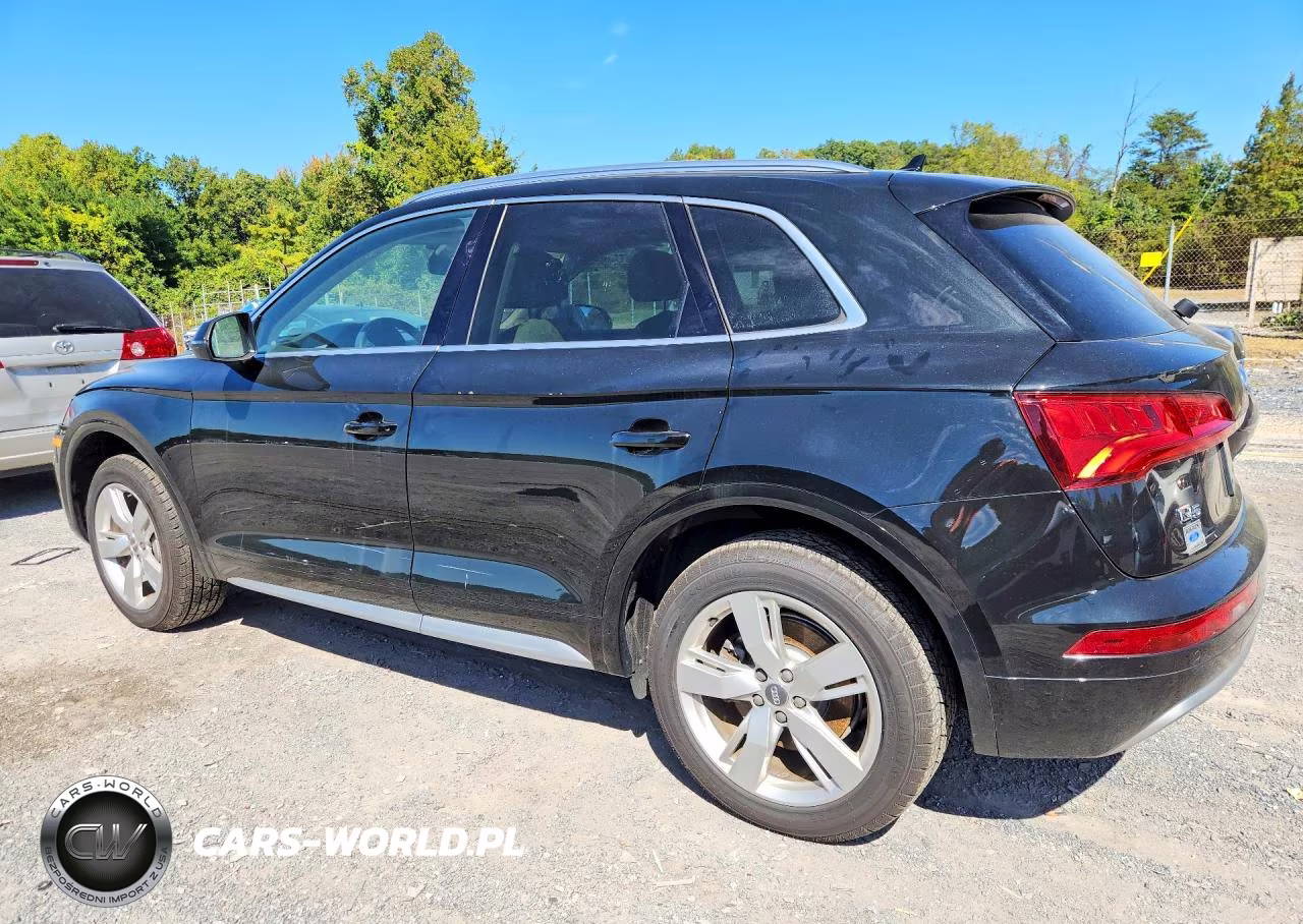 2019 Audi Q5 Premium Plus VIN:WA1BNAFY7K2071808 - 2