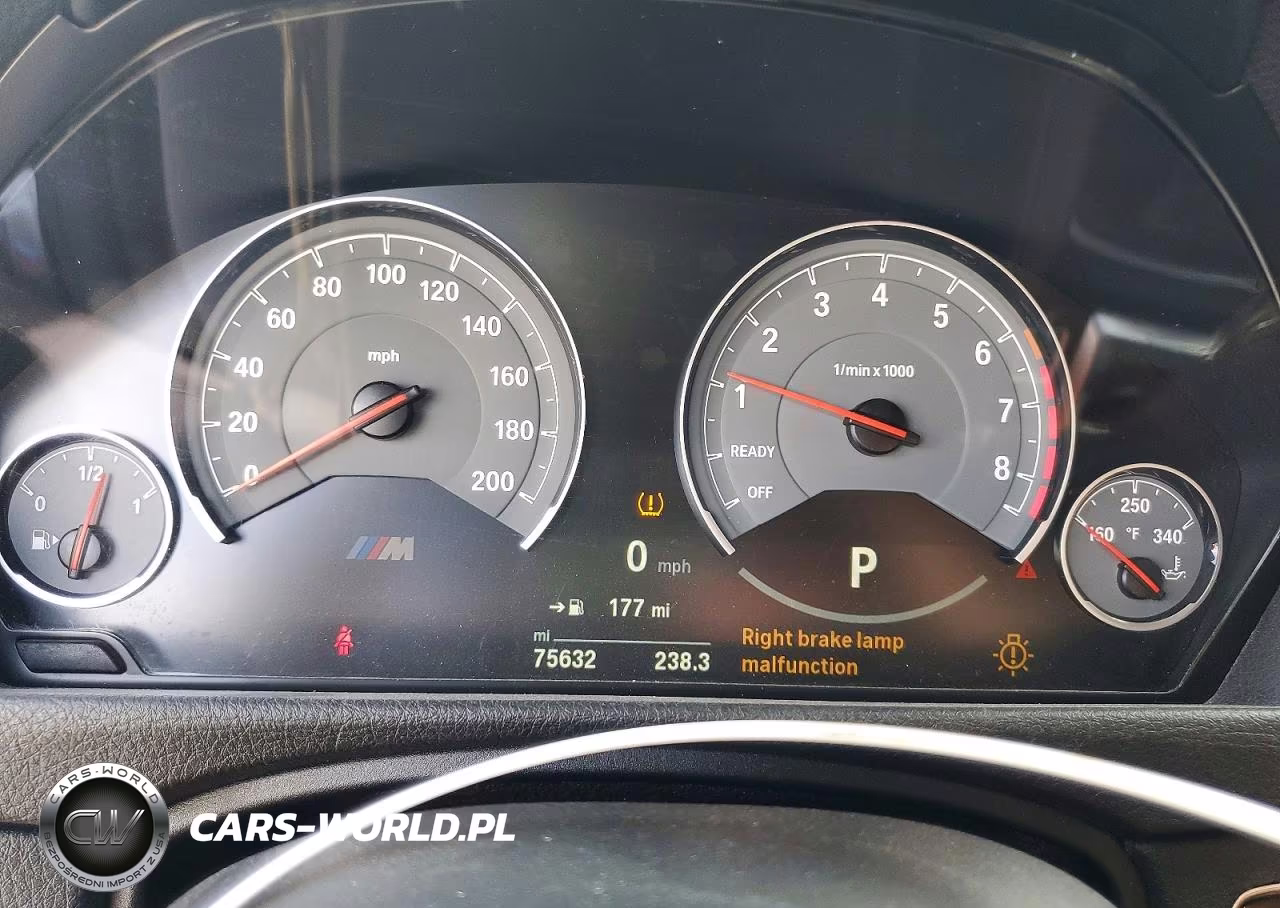 2016 BMW M4 VIN:WBS3R9C5XGK335790 - 9