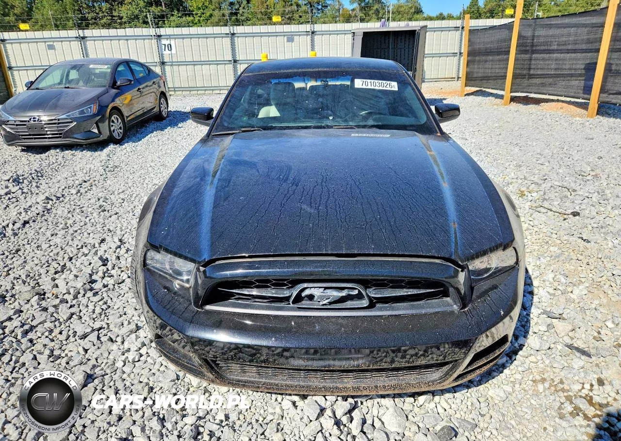 2014 Ford Mustang VIN:1ZVBP8AM9E5282134 - 5