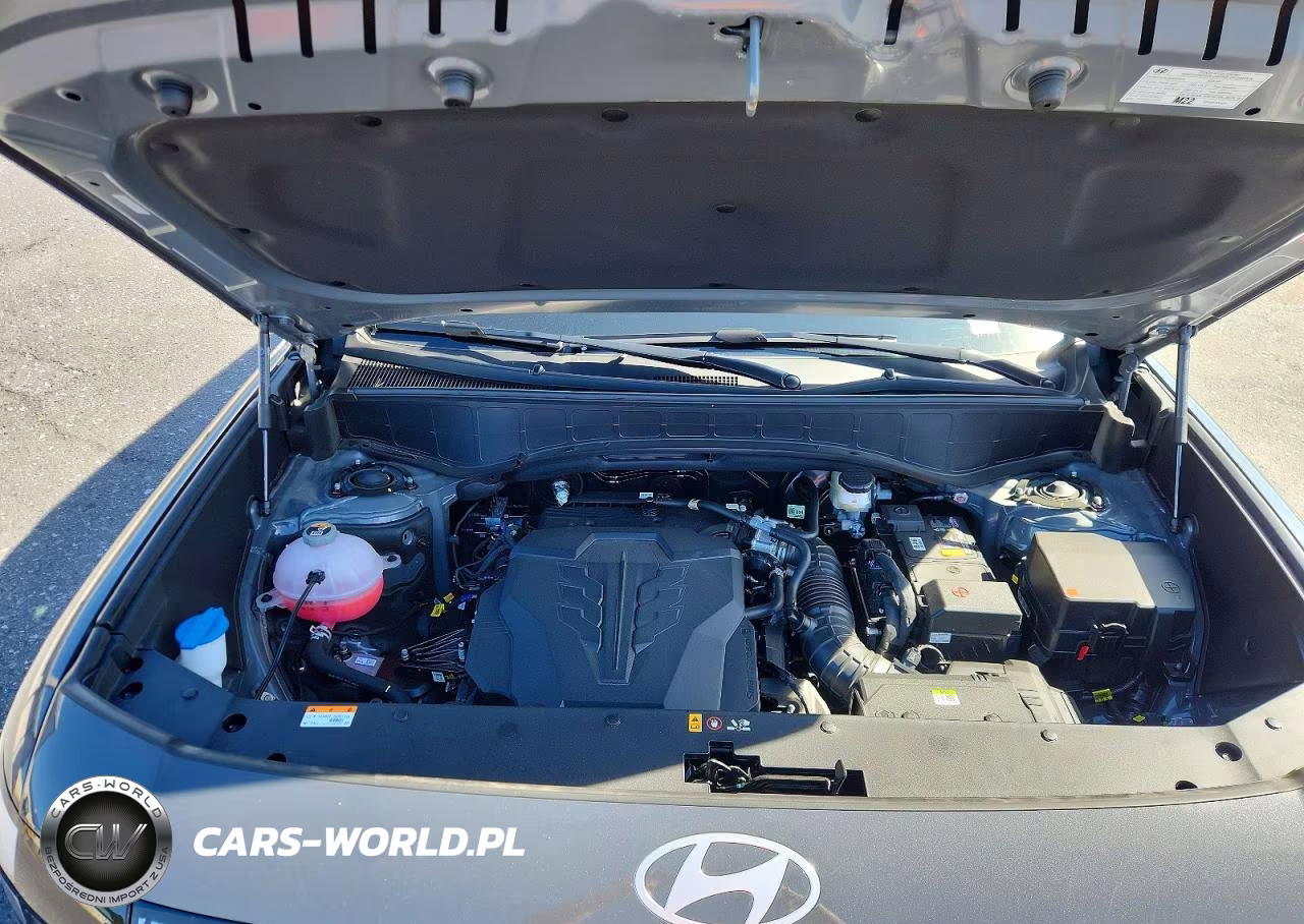 2026 Hyundai Palisade Sel VIN:KM8RLES29TU133973 - 12
