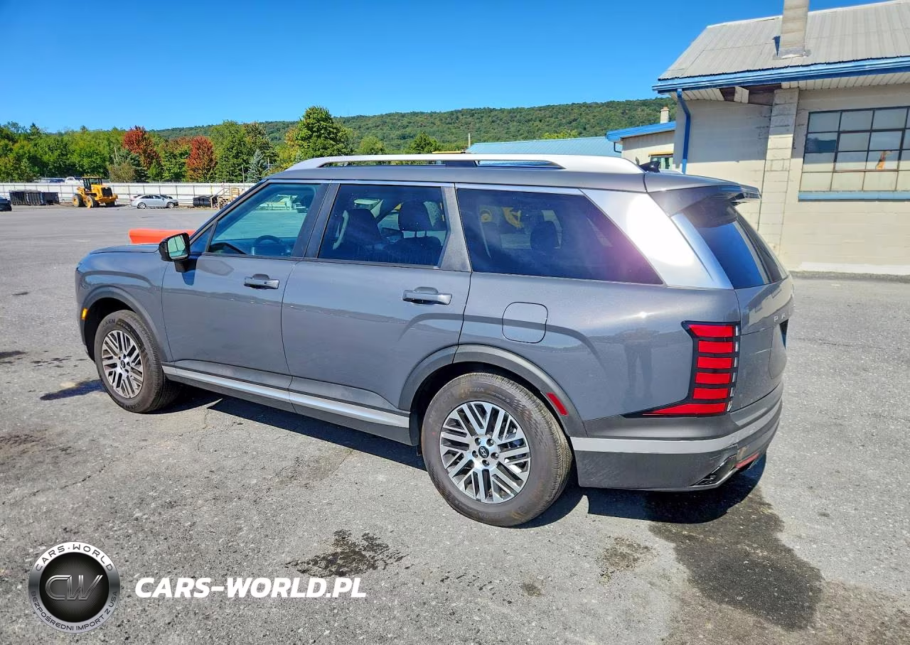 2026 Hyundai Palisade Sel VIN:KM8RLES29TU133973 - 2