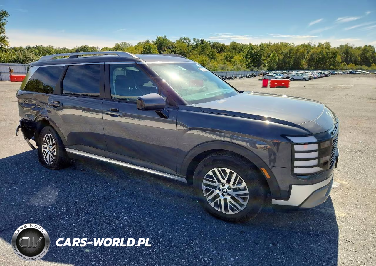 2026 Hyundai Palisade Sel VIN:KM8RLES29TU133973 - 4