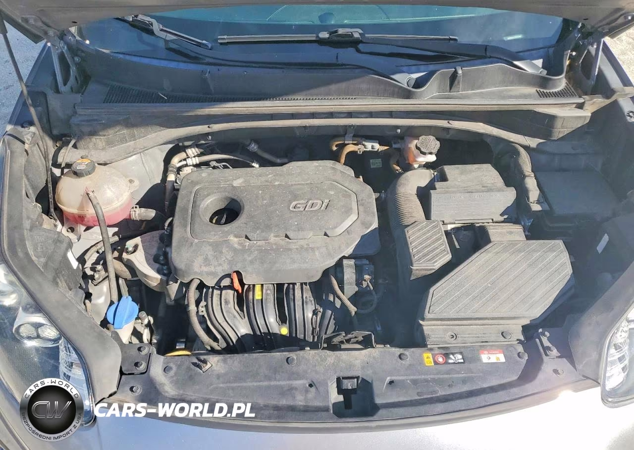 2022 Kia Sportage Lx VIN:KNDPM3AC7N7973386 - 12