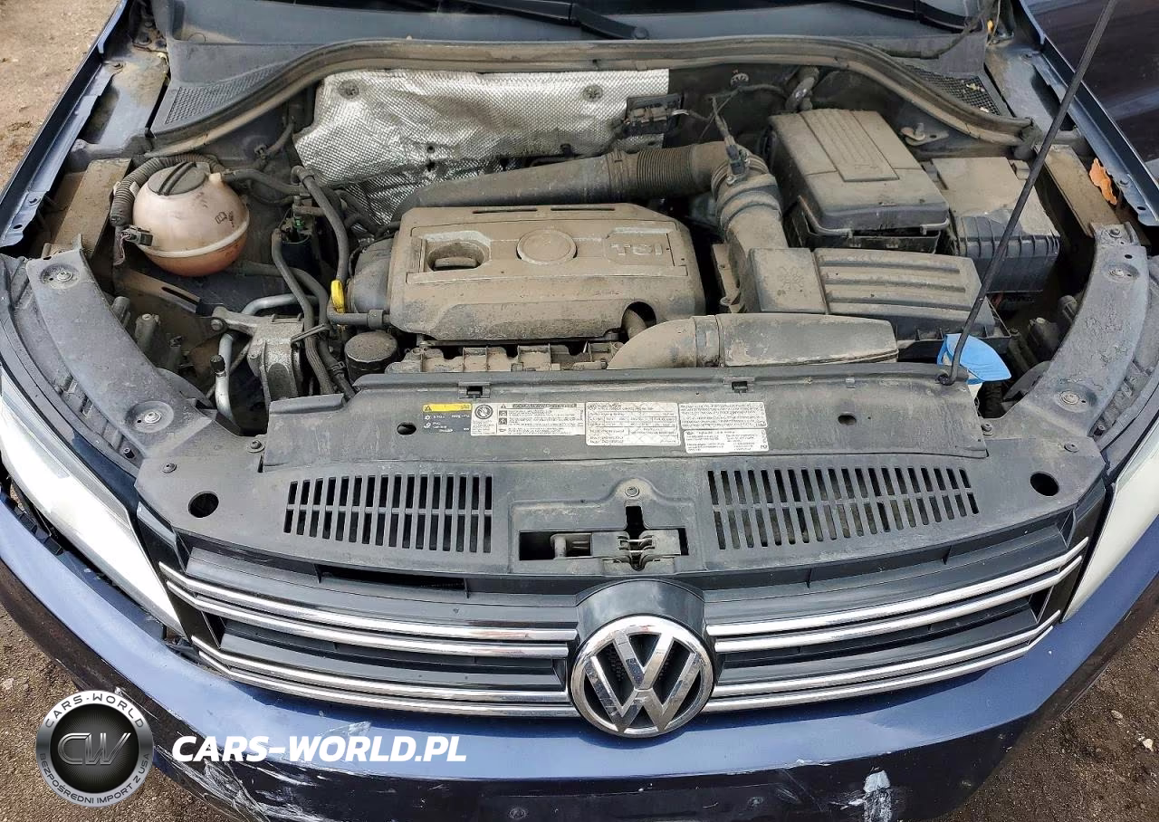 2016 Volkswagen Tiguan S VIN:WVGBV7AX0GW527490 - 12