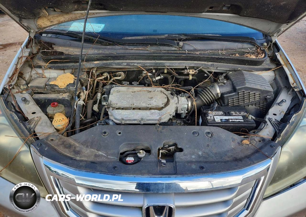 2010 Honda Odyssey Exl VIN:5FNRL3H7XAB082596 - 12