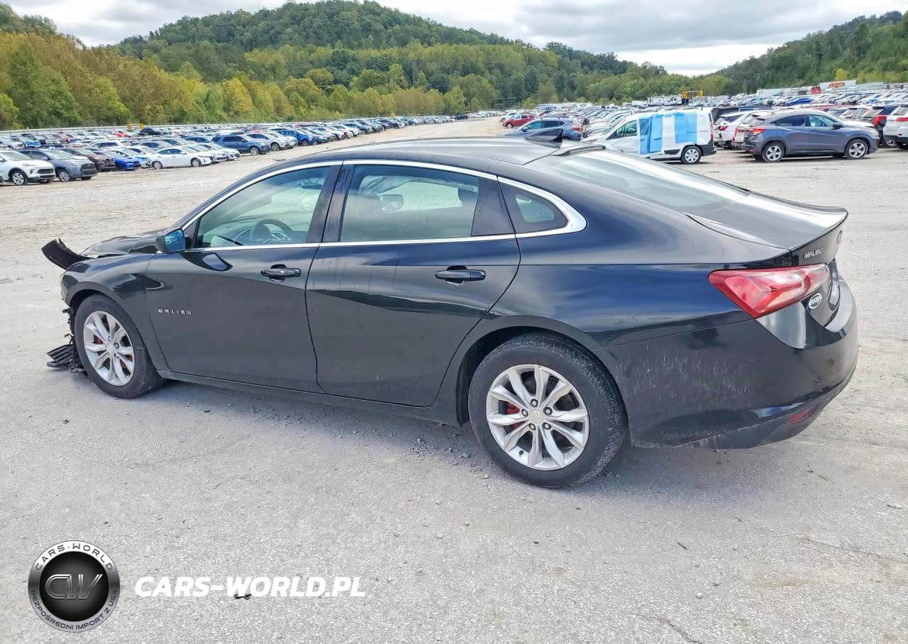 2019 Chevrolet Malibu Lt VIN:1G1ZD5ST9KF166896 - 2
