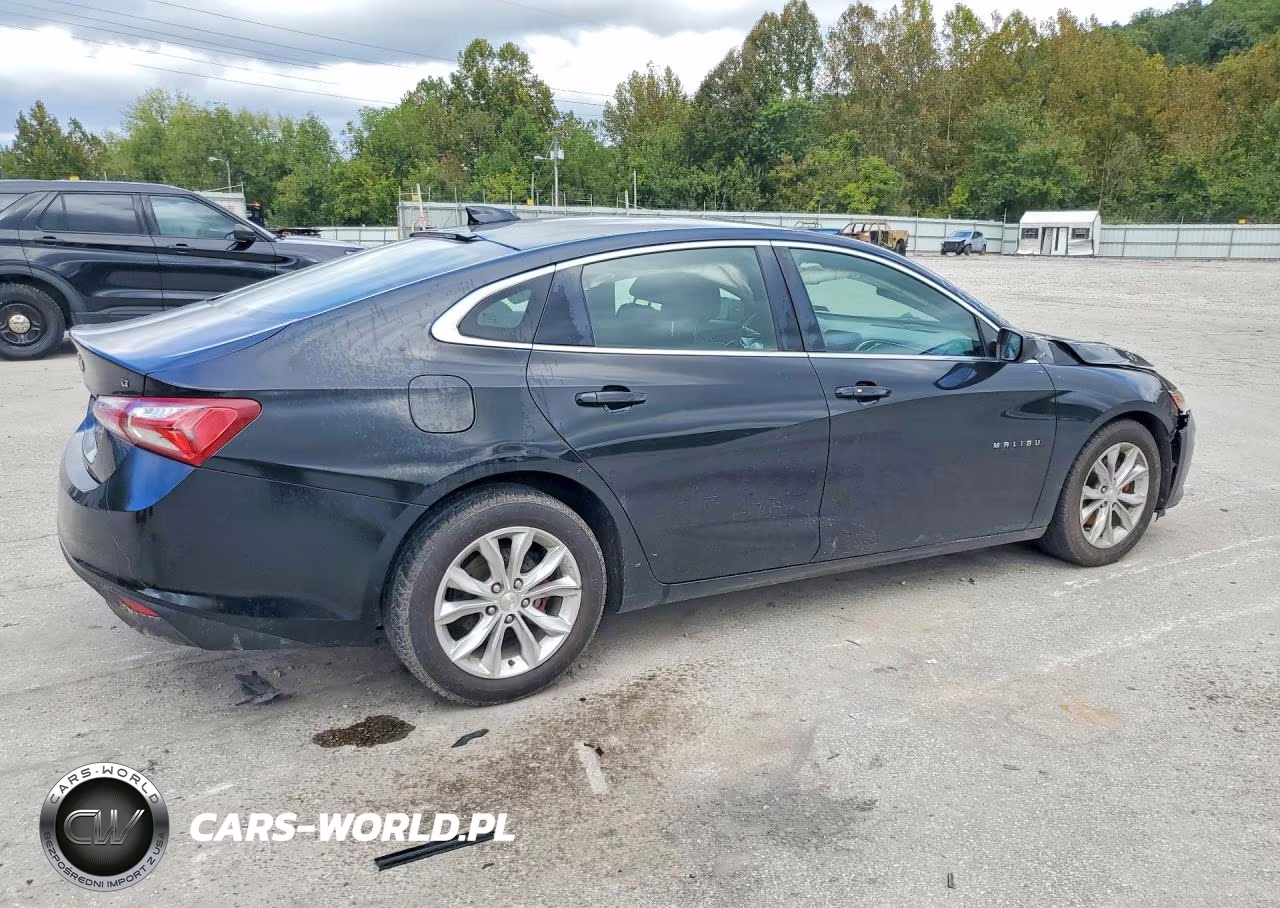 2019 Chevrolet Malibu Lt VIN:1G1ZD5ST9KF166896 - 3