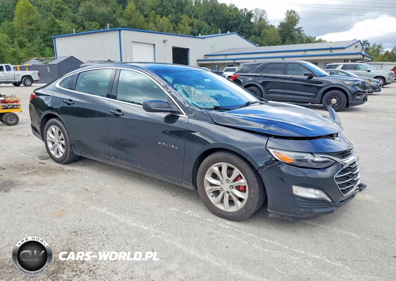 2019 Chevrolet Malibu Lt VIN:1G1ZD5ST9KF166896 - 4