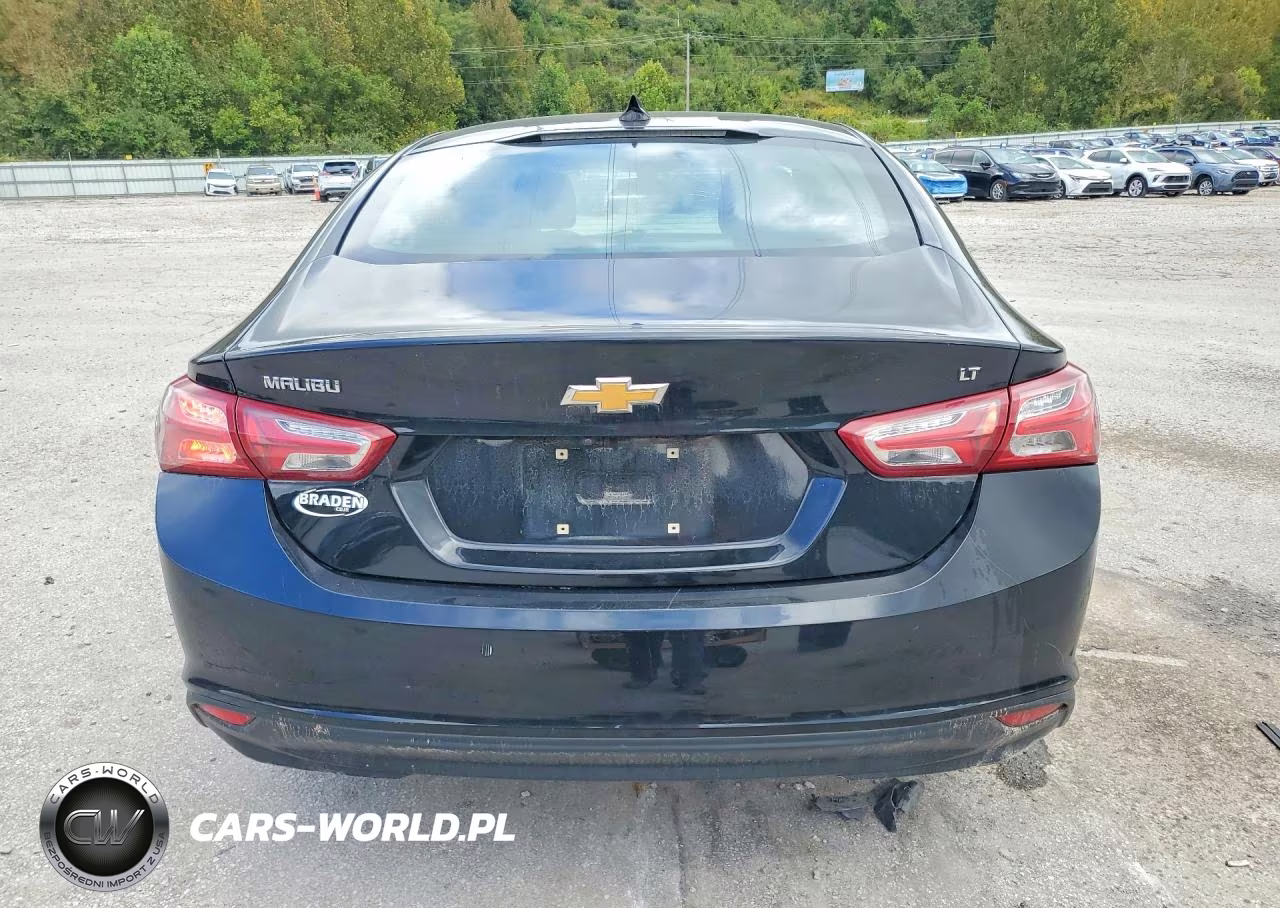 2019 Chevrolet Malibu Lt VIN:1G1ZD5ST9KF166896 - 6