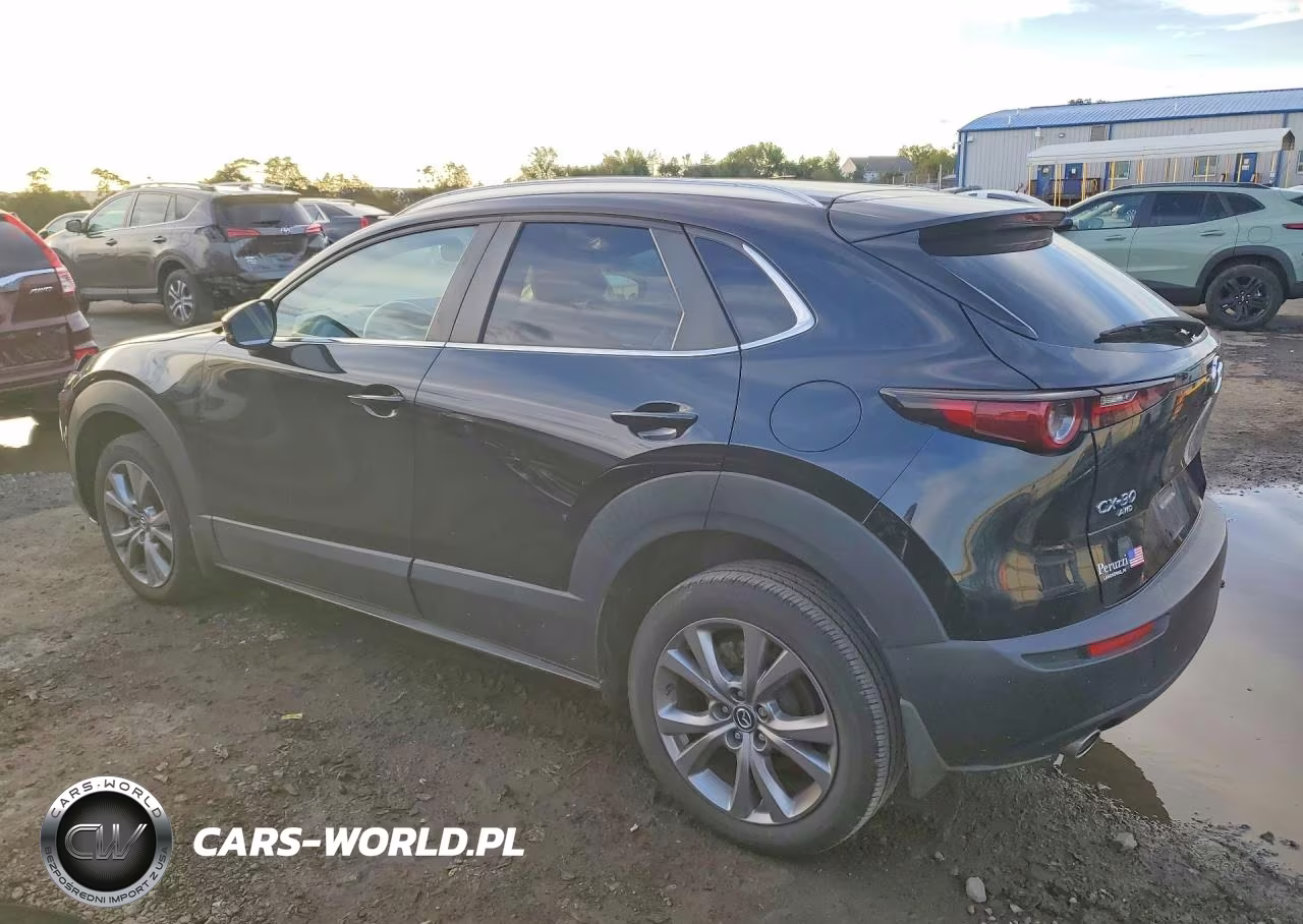2023 Mazda Cx-30 Preferred VIN:3MVDMBCM2PM579207 - 2