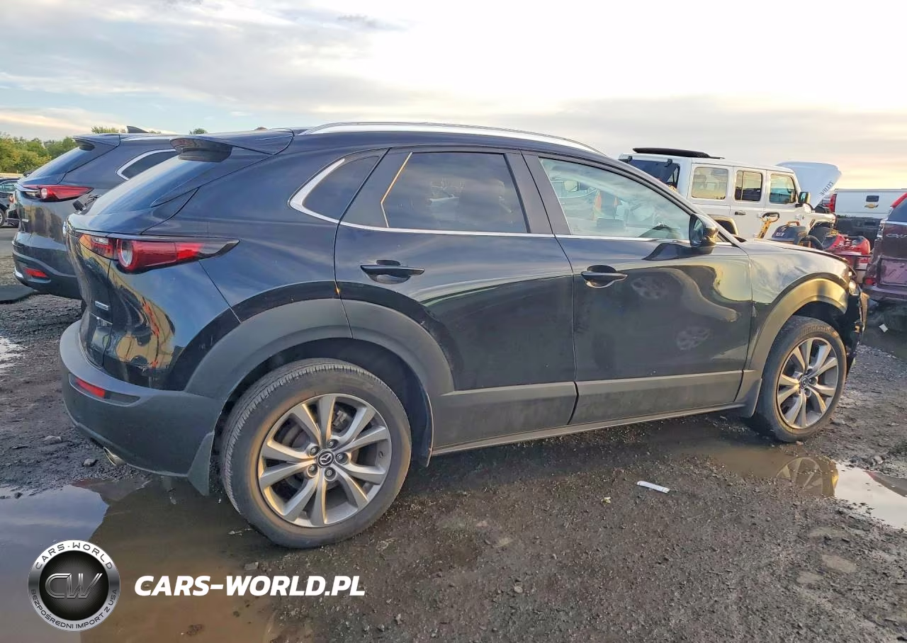 2023 Mazda Cx-30 Preferred VIN:3MVDMBCM2PM579207 - 3