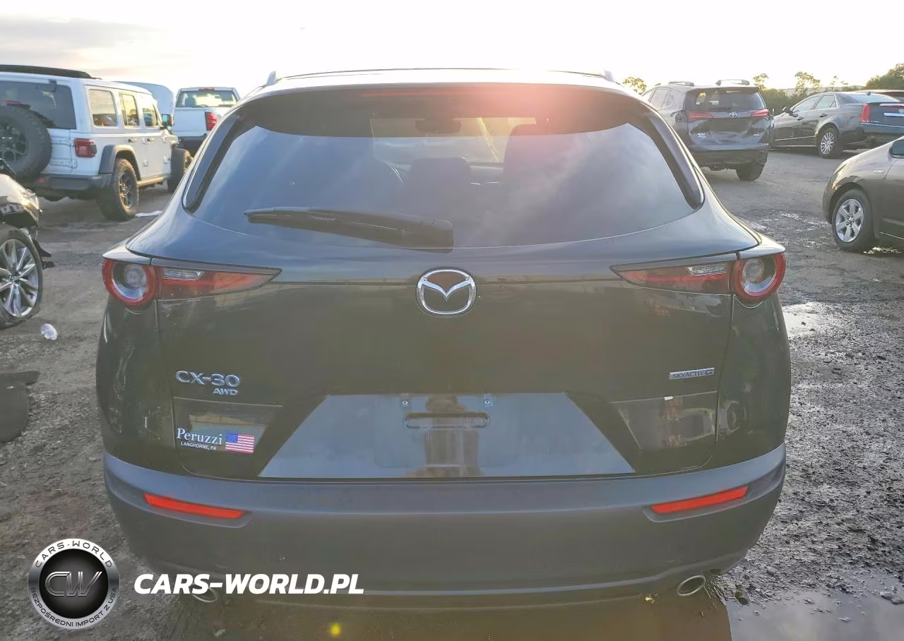 2023 Mazda Cx-30 Preferred VIN:3MVDMBCM2PM579207 - 6