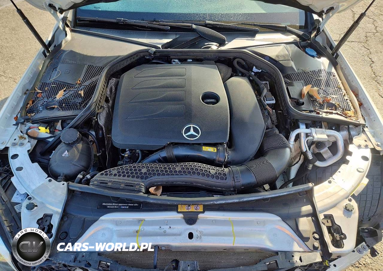 2019 Mercedes-Benz C 300 VIN:55SWF8DB8KU293717 - 11