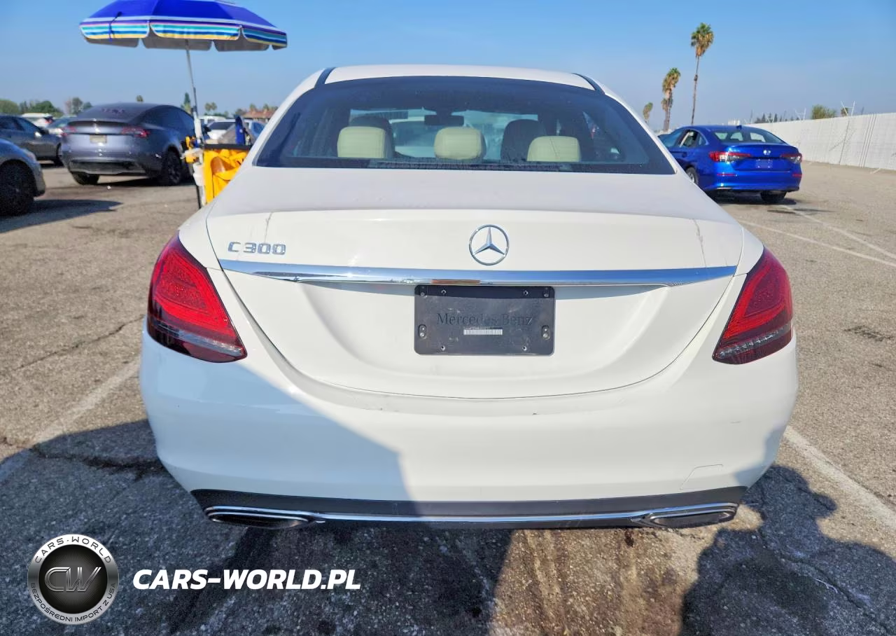 2019 Mercedes-Benz C 300 VIN:55SWF8DB8KU293717 - 6