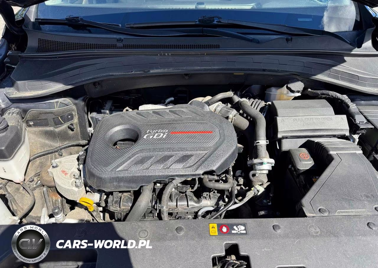 2020 Hyundai Santa Fe Sel 2.0T VIN:5NMS3CAA6LH298857 - 11