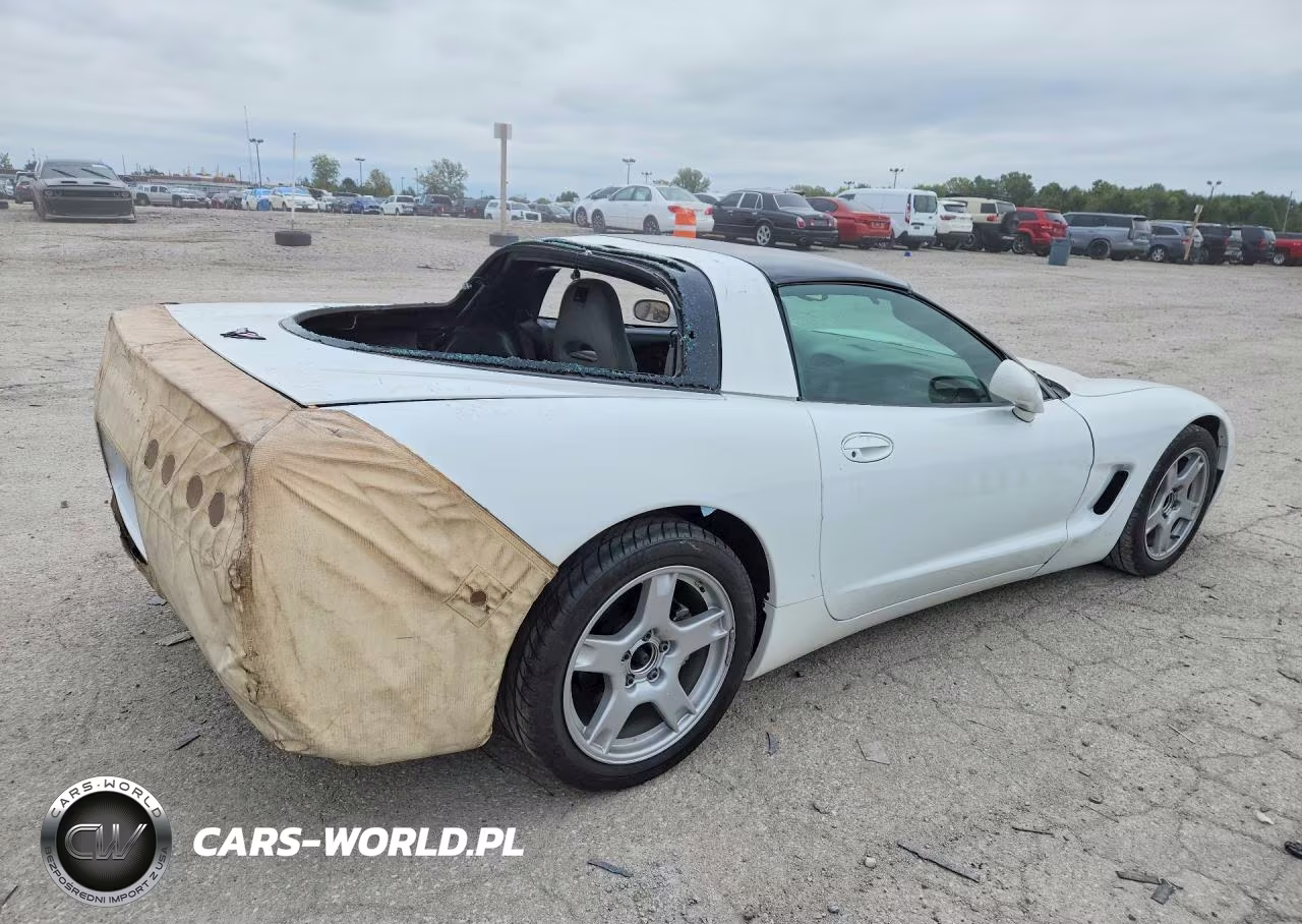 1997 Chevrolet Corvette VIN:1G1YY12G5VX1170EX - 3