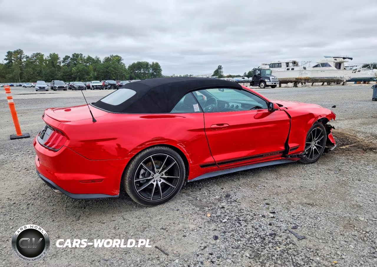 2021 Ford Mustang VIN:1FATP8UH5M5132418 - 3