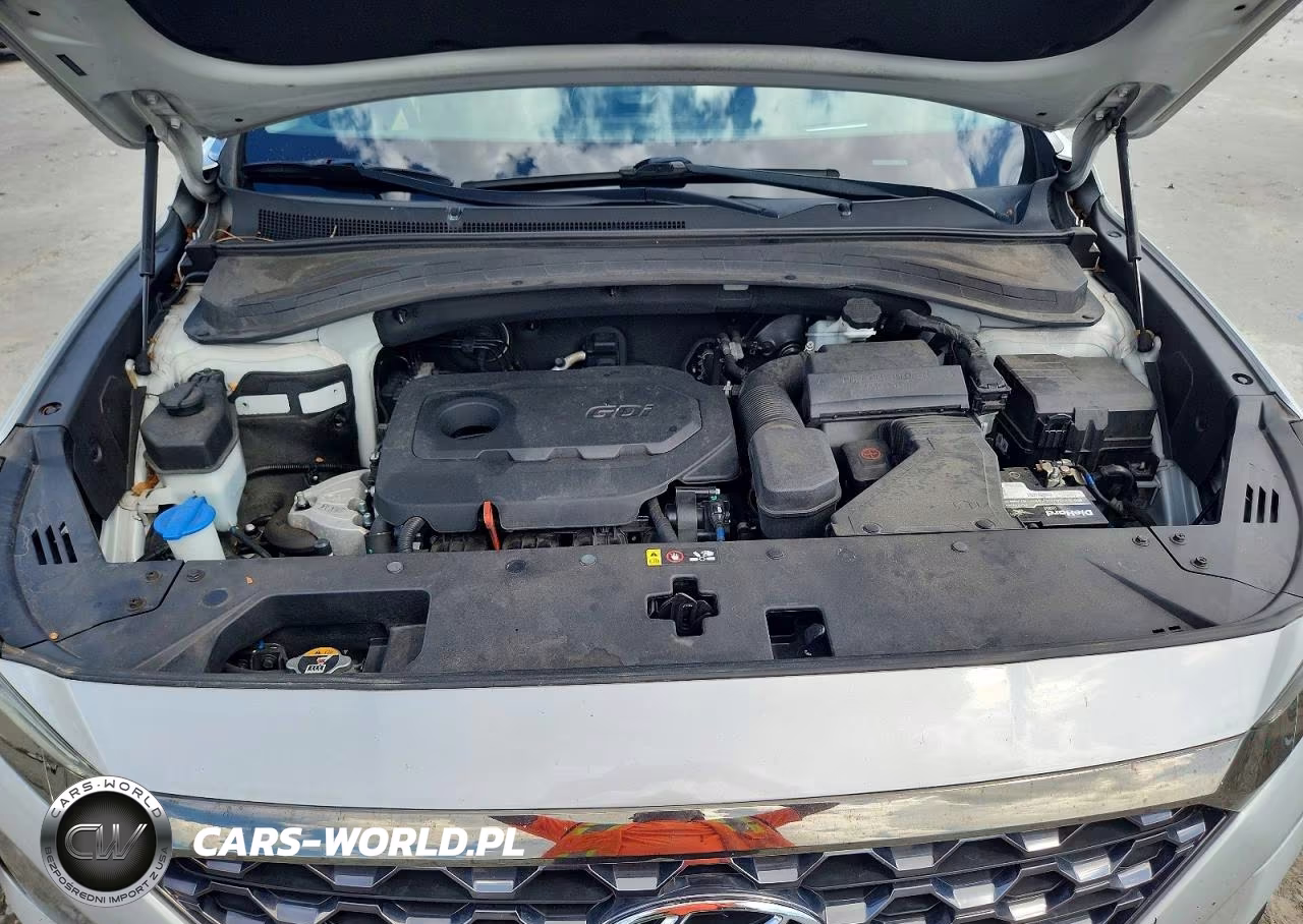 2020 Hyundai Santa Fe Limited VIN:5NMS53AD1LH162785 - 12