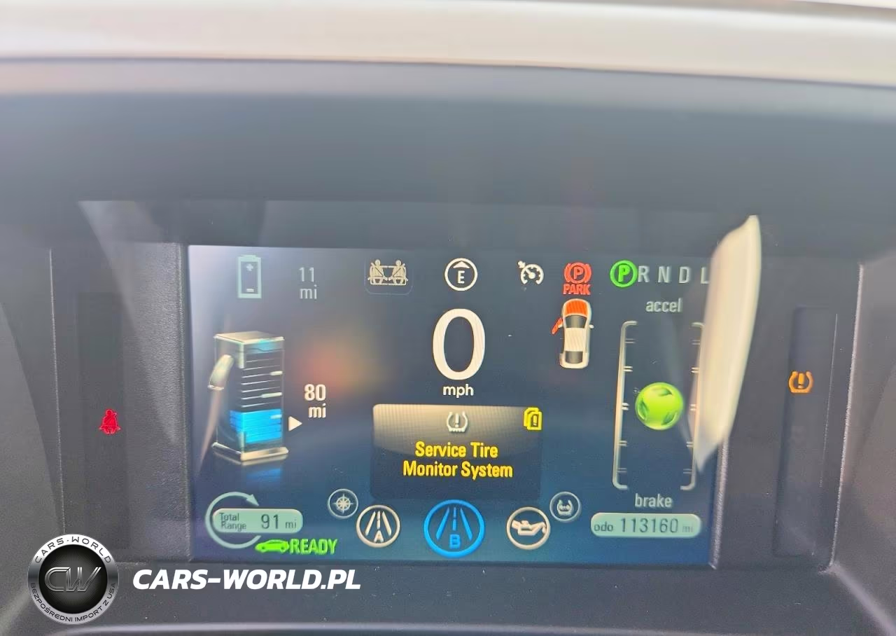 2013 Chevrolet Volt VIN:1G1RE6E49DU137873 - 9