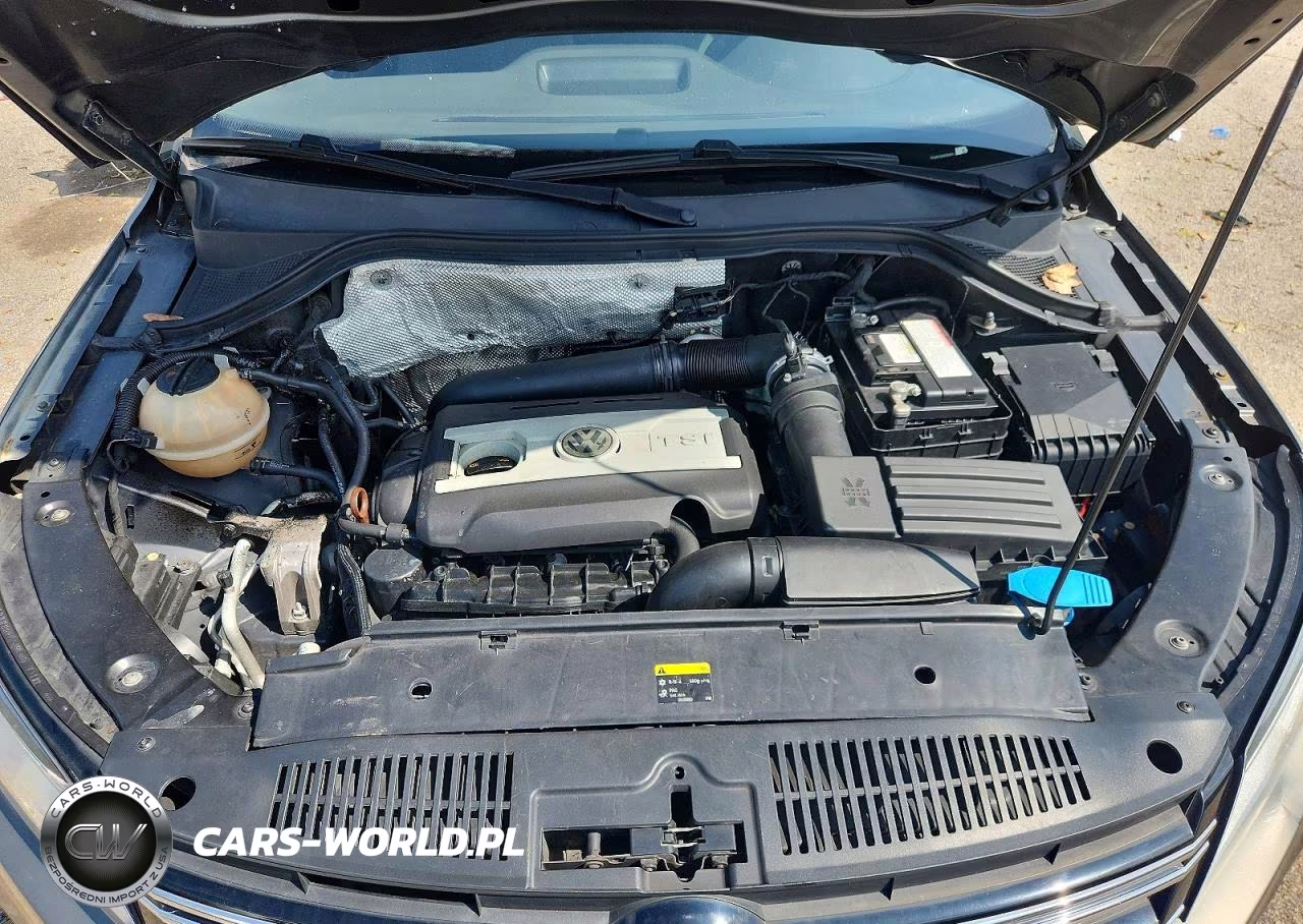 2013 Volkswagen Tiguan S VIN:WVGAV3AX9DW597750 - 7