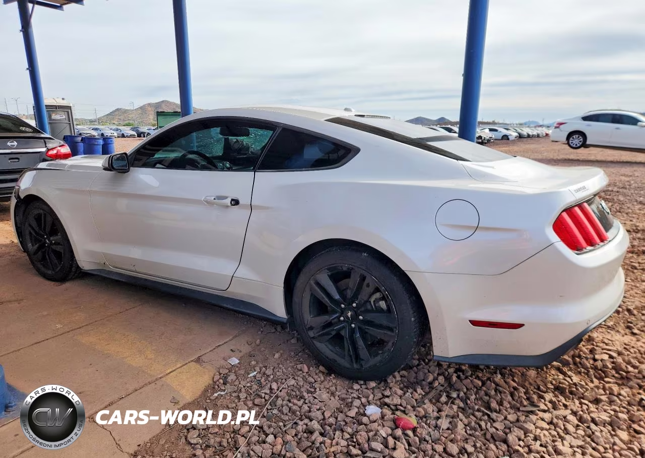 2017 Ford Mustang VIN:1FA6P8TH9H5347238 - 2