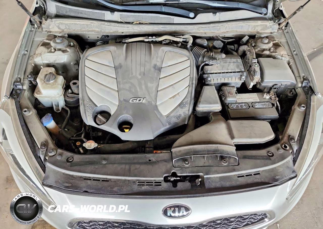 2014 Kia Cadenza Premium VIN:KNALN4D72E5128471 - 11