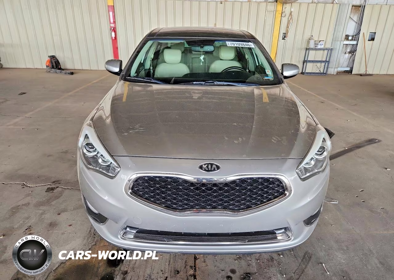 2014 Kia Cadenza Premium VIN:KNALN4D72E5128471 - 5