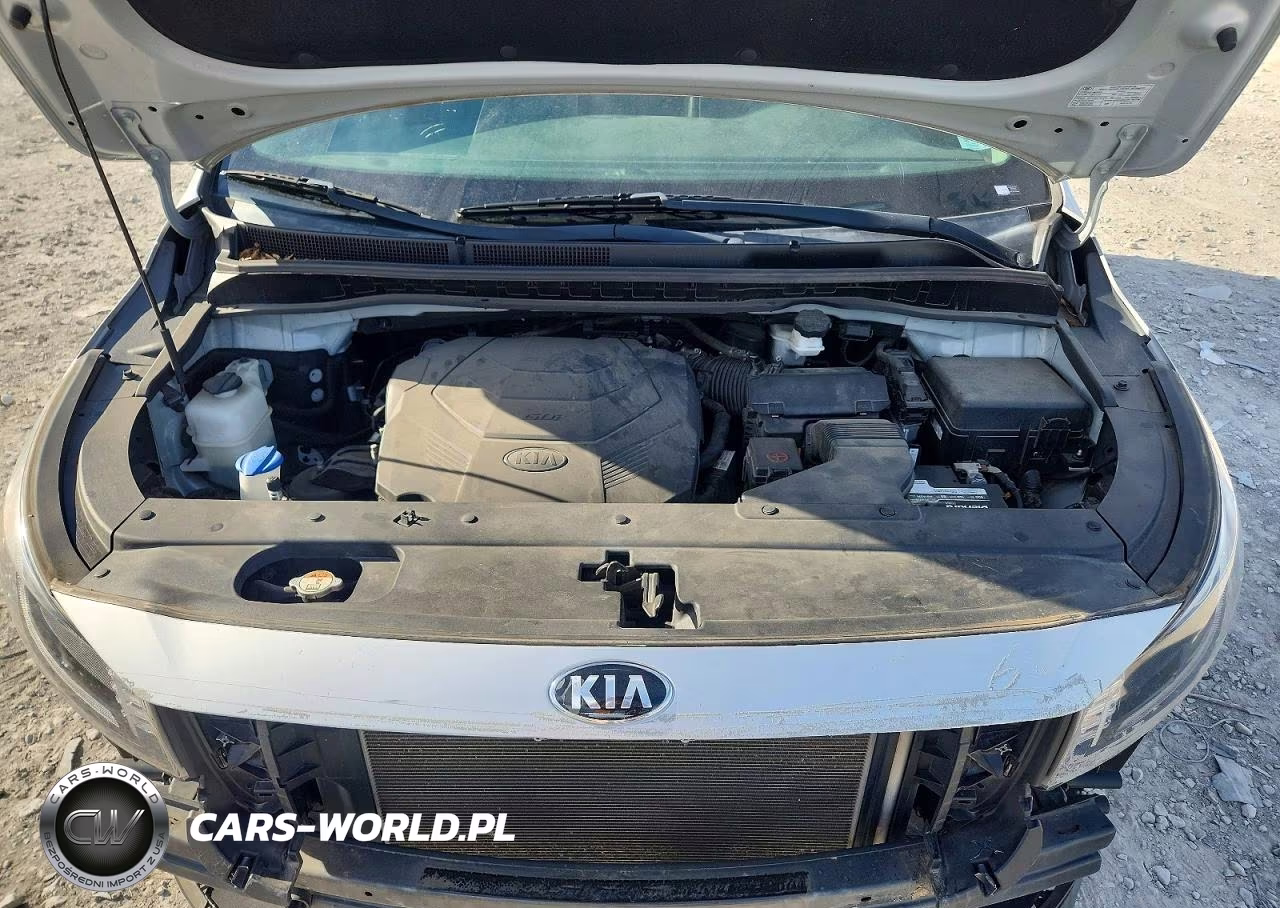 2019 Kia Sedona Ex VIN:KNDMB5C1XK6511969 - 12