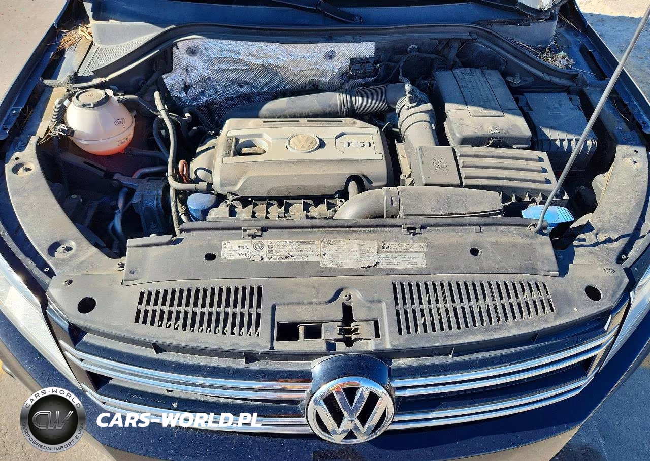 2012 Volkswagen Tiguan S VIN:WVGBV7AX9CW566668 - 12