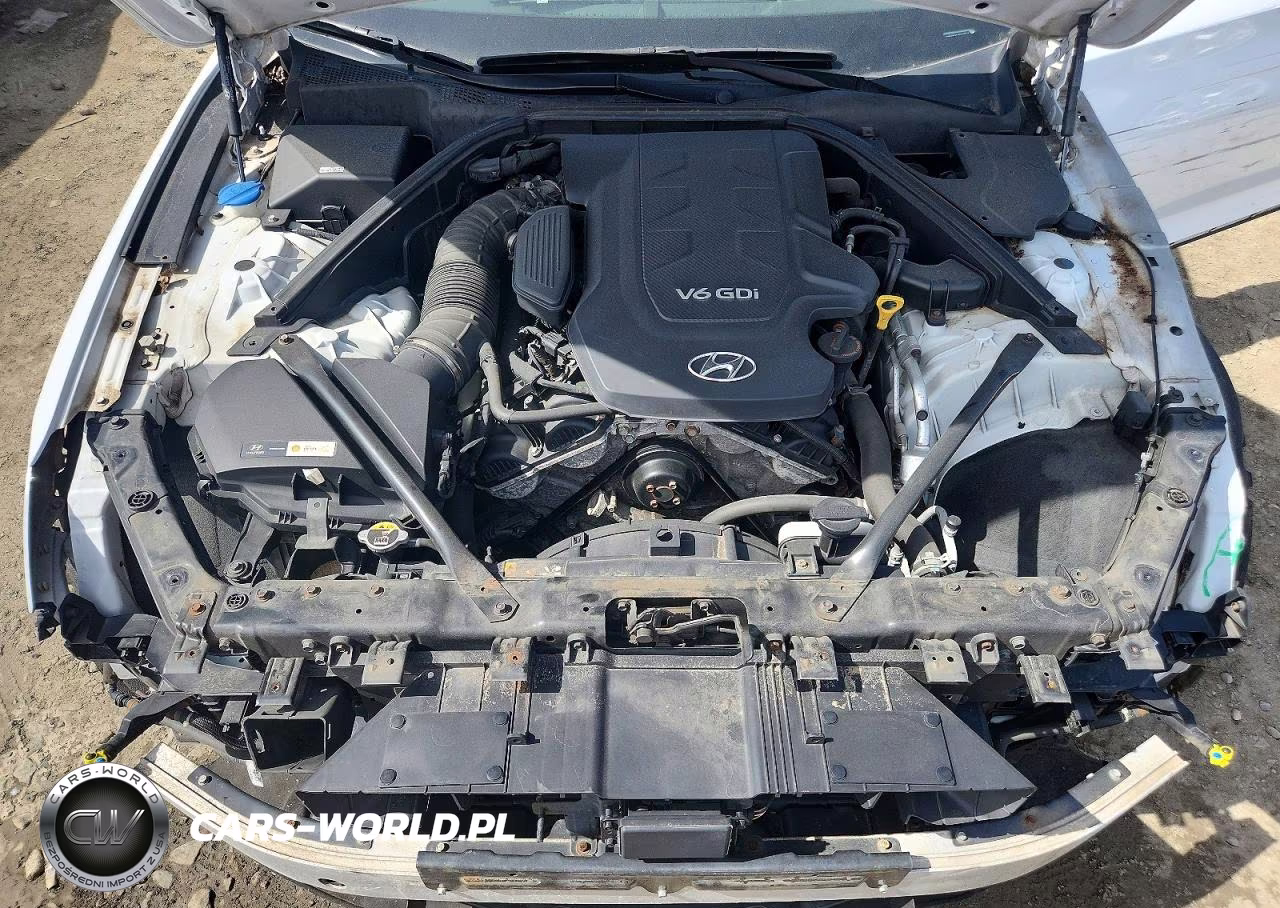 2016 Hyundai Genesis 3.8L VIN:KMHGN4JE1GU138534 - 11