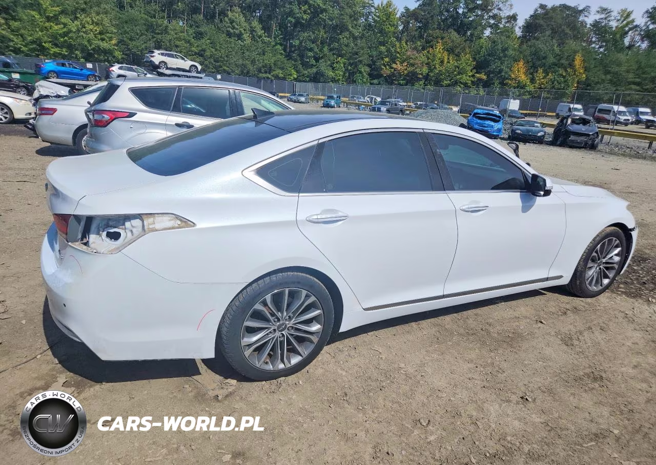 2016 Hyundai Genesis 3.8L VIN:KMHGN4JE1GU138534 - 3