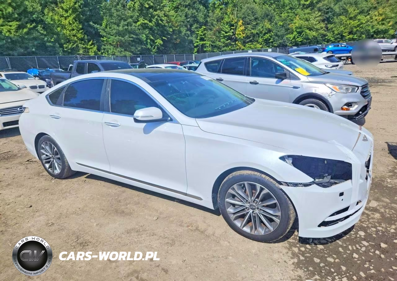 2016 Hyundai Genesis 3.8L VIN:KMHGN4JE1GU138534 - 4