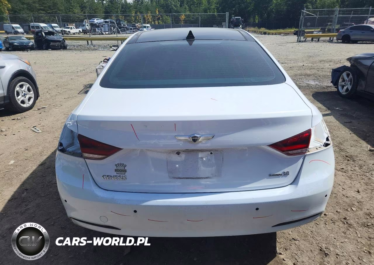 2016 Hyundai Genesis 3.8L VIN:KMHGN4JE1GU138534 - 6
