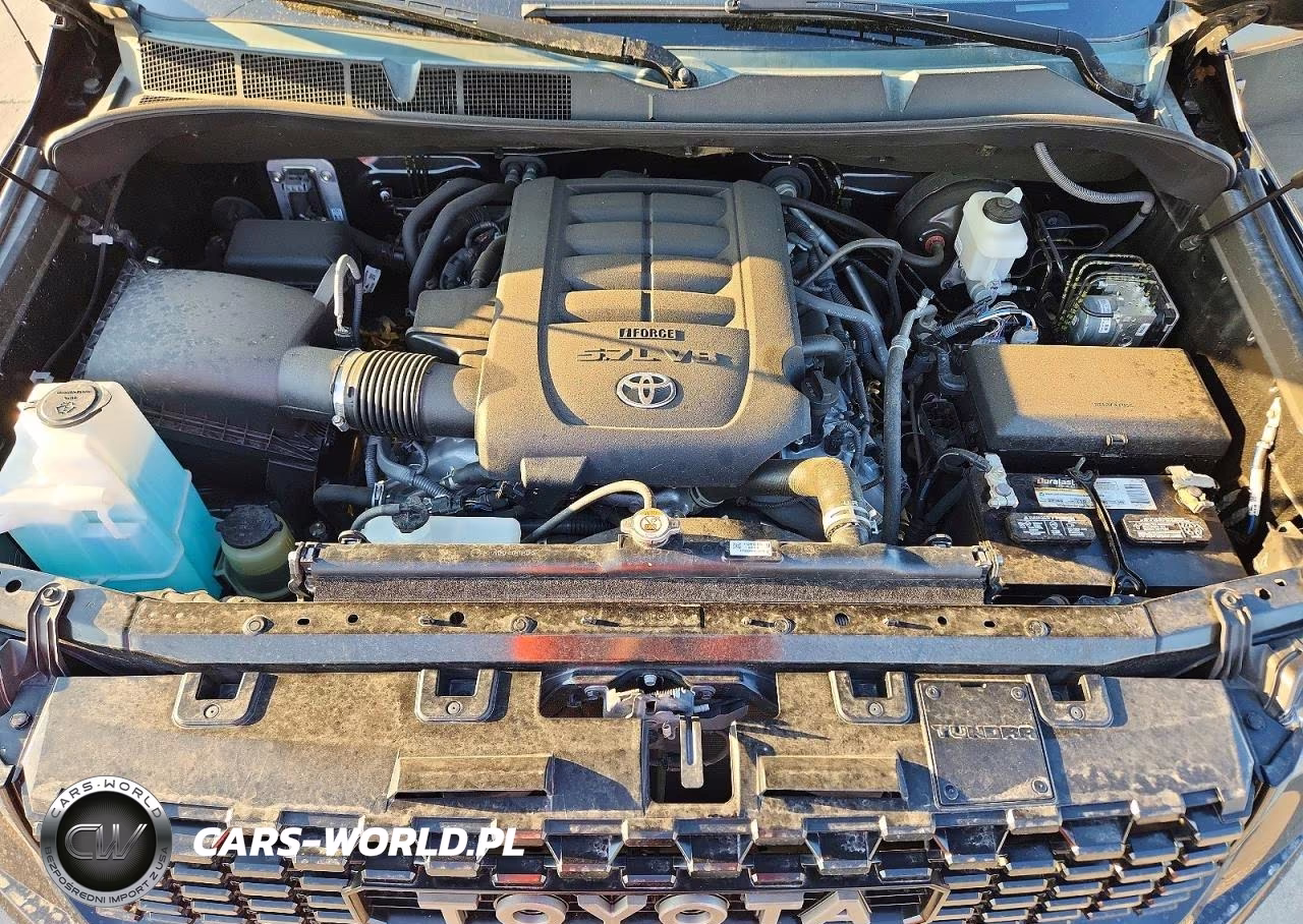 2019 Toyota Tundra Trd Pro VIN:5TFDY5F15KX867928 - 11