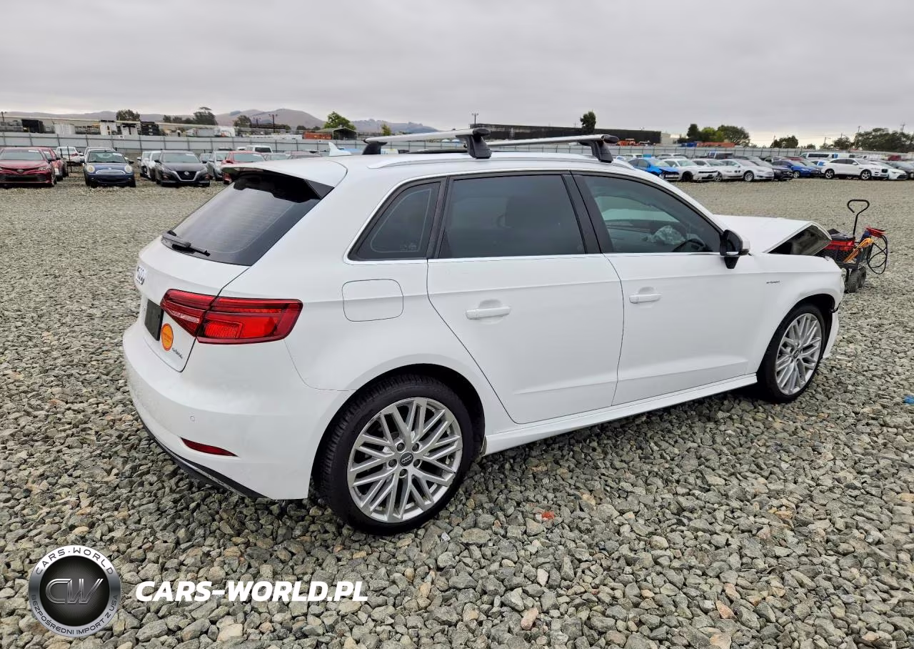2018 Audi A3 E-Tron Premium Plus VIN:WAUTPBFF2JA068020 - 3