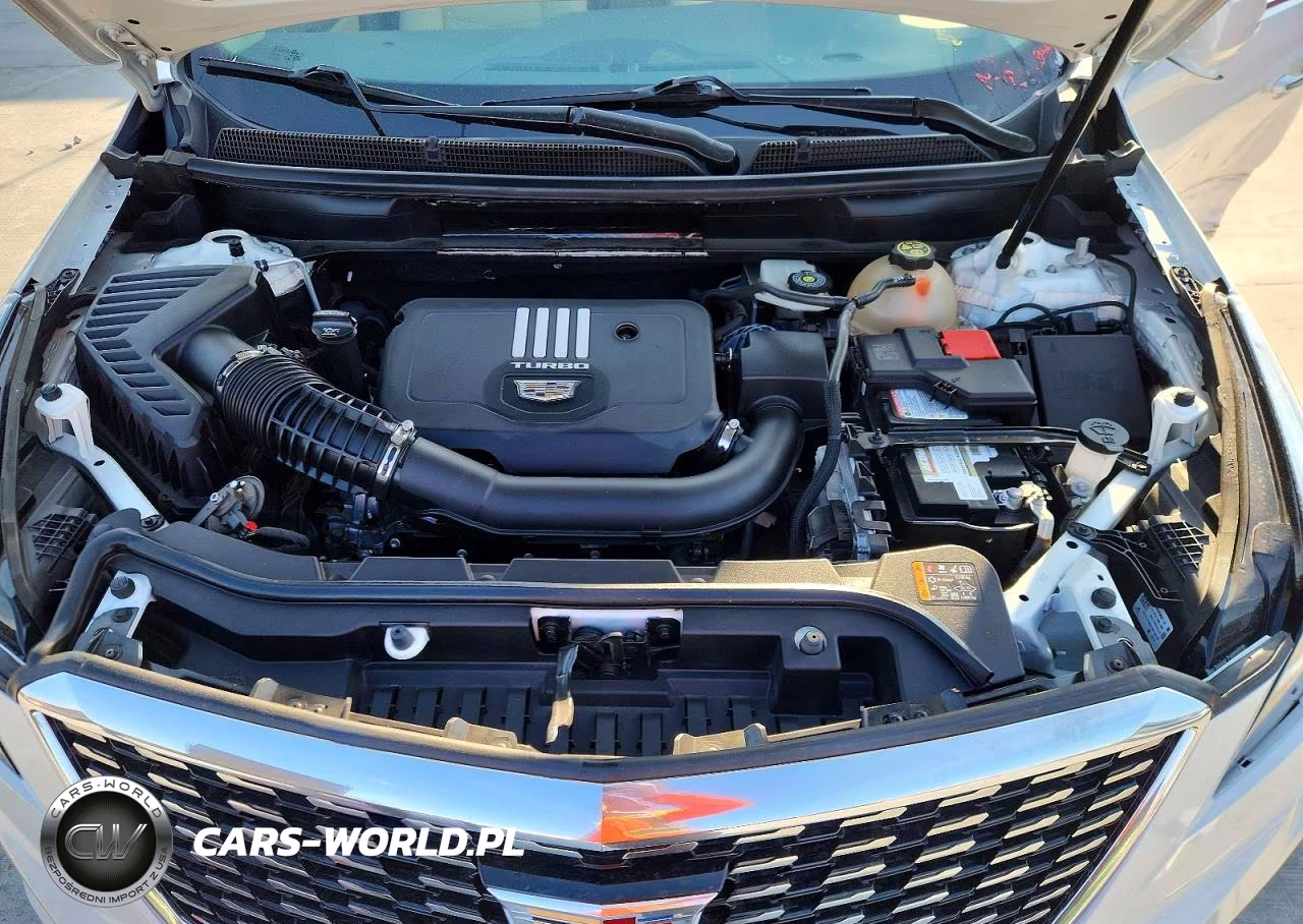 2023 Cadillac Xt5 Premium Luxury VIN:1GYKNCR40PZ135013 - 12