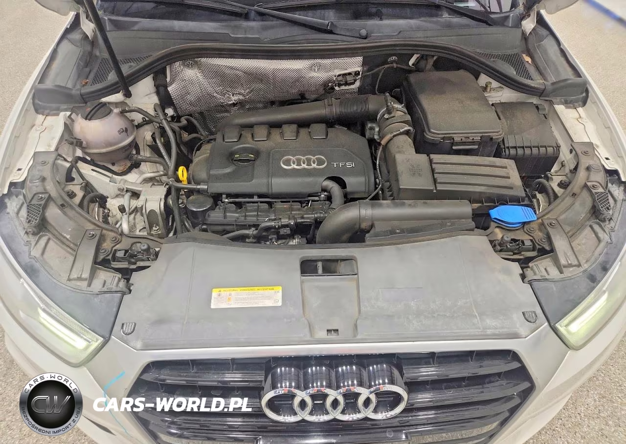 2016 Audi Q3 Premium Plus VIN:WA1BFCFS3GR010863 - 12
