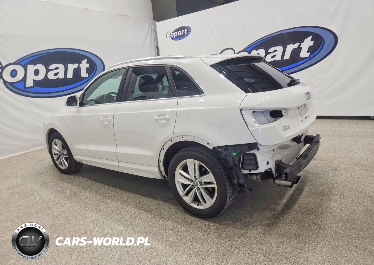 2016 Audi Q3 Premium Plus VIN:WA1BFCFS3GR010863 - 2