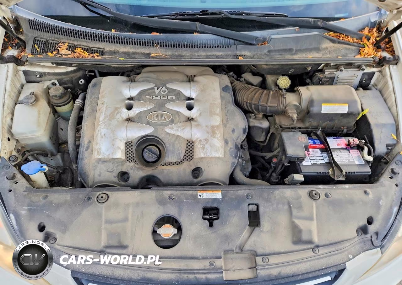 2006 Kia Sedona Lx VIN:KNDMB233966066114 - 12