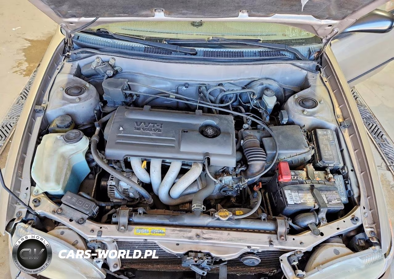 2000 Toyota Corolla Ve VIN:2T1BR12E8YC371809 - 11