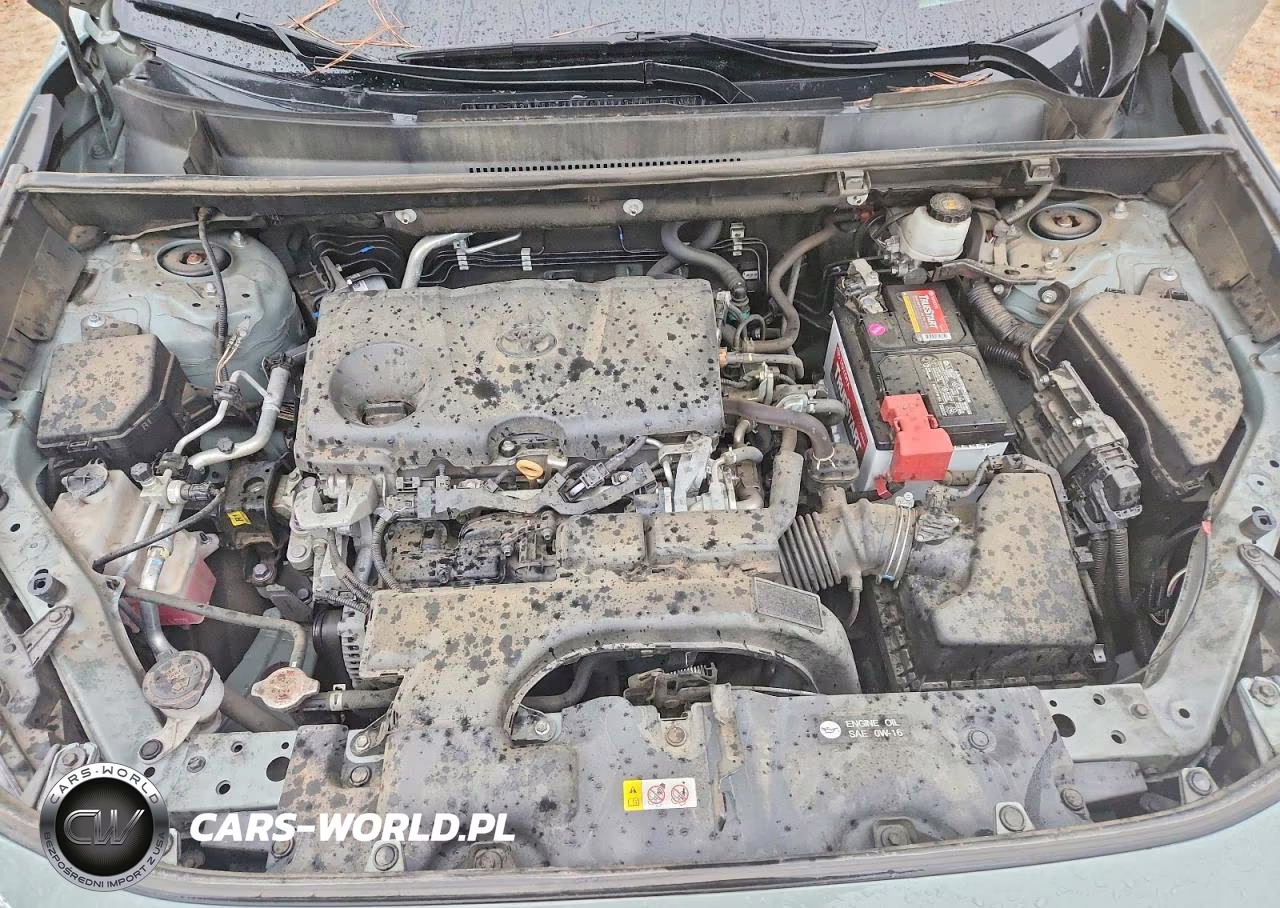 2020 Toyota Rav4 Xle VIN:2T3W1RFV7LC072538 - 11