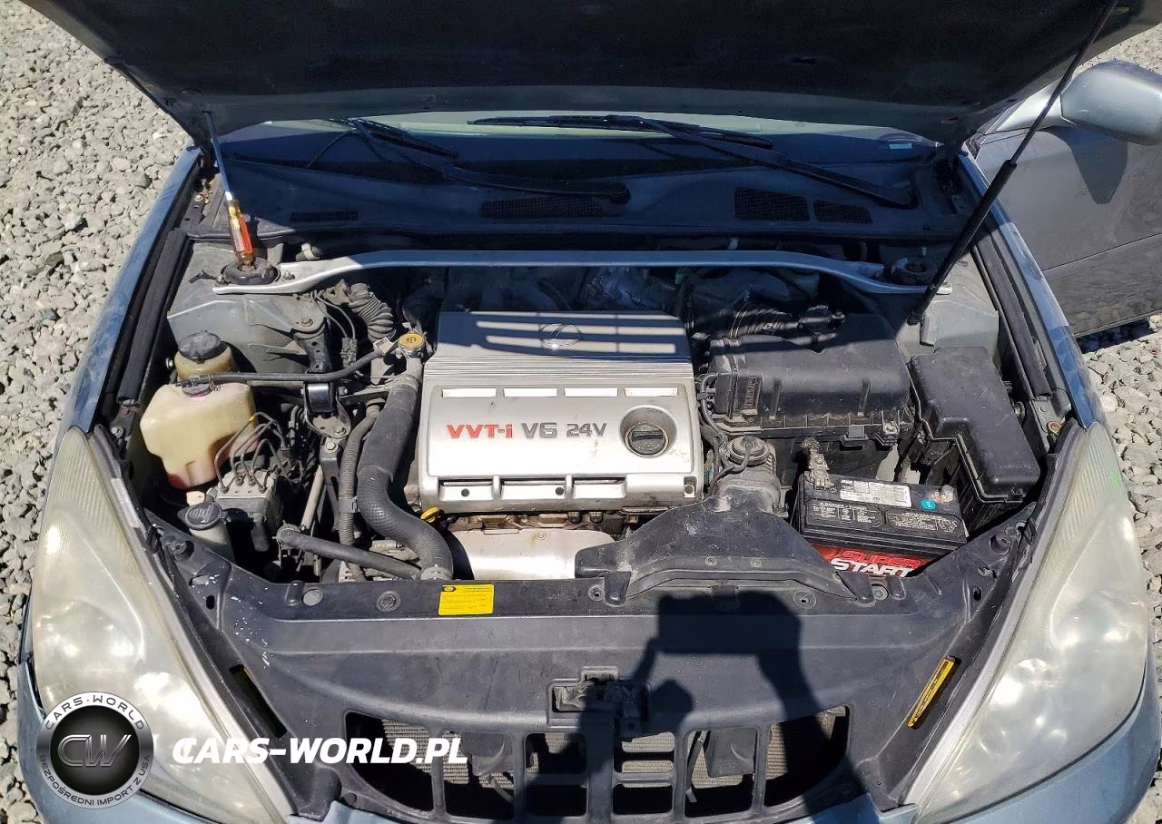 2003 Lexus Es 300 VIN:JTHBF30G430112843 - 11