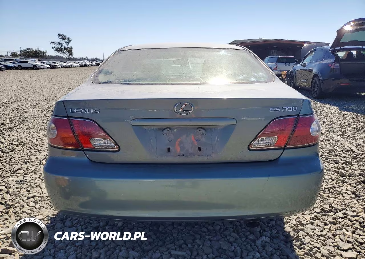 2003 Lexus Es 300 VIN:JTHBF30G430112843 - 6