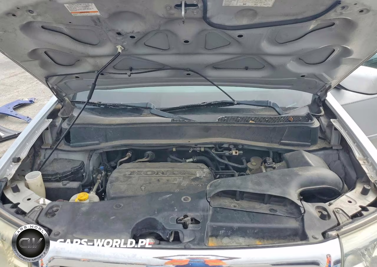 2009 Honda Pilot Exl VIN:5FNYF48669B027302 - 12