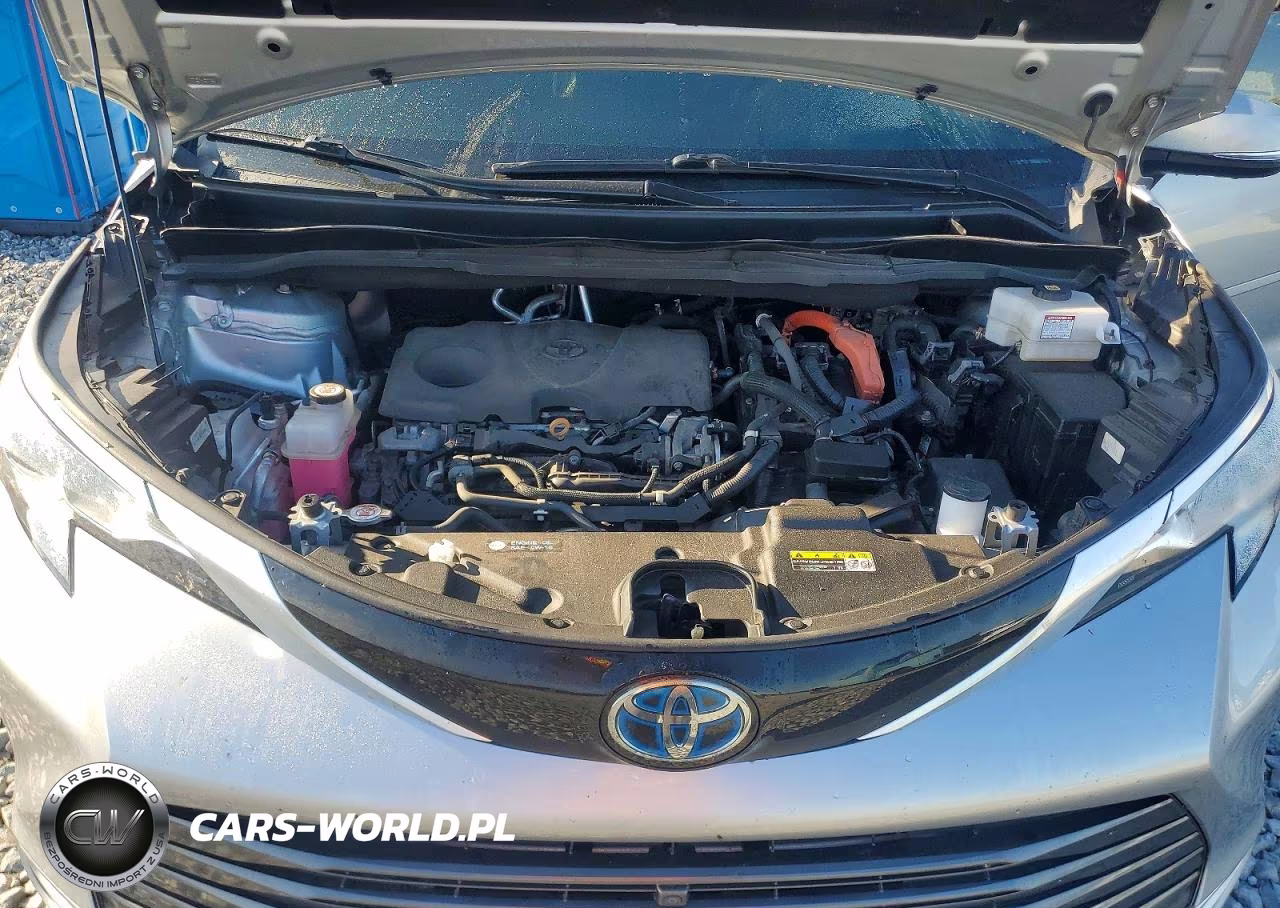2021 Toyota Sienna Platinum 7-Passenger VIN:5TDESKFC7MS007642 - 12