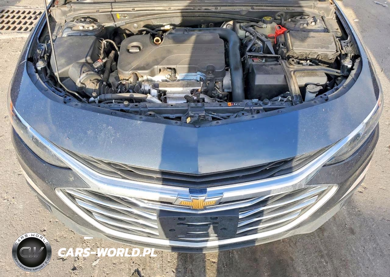 2021 Chevrolet Malibu Lt VIN:1G1ZD5ST8MF026969 - 11