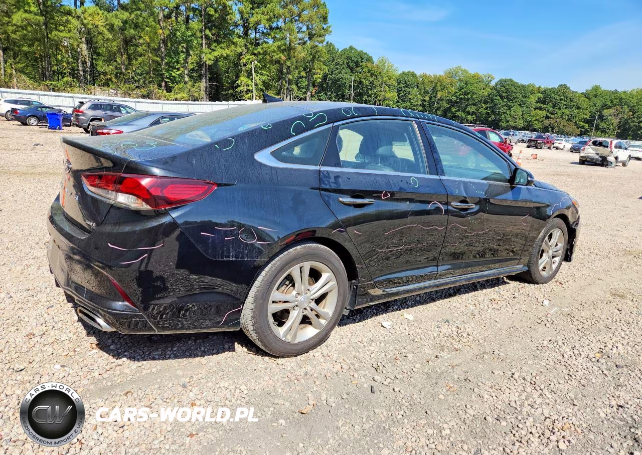 2018 Hyundai Sonata Sport VIN:5NPE34AF1JH667607 - 3