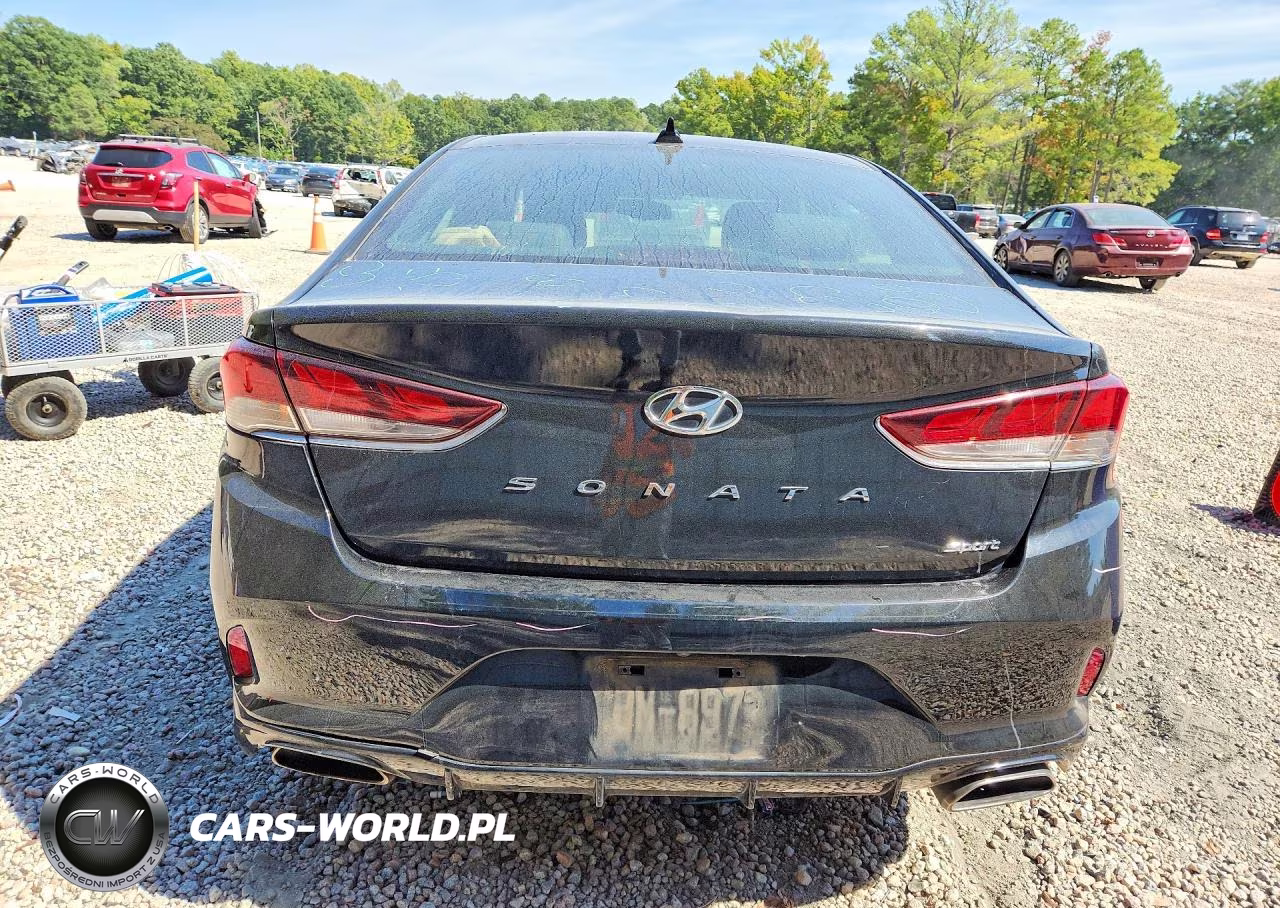 2018 Hyundai Sonata Sport VIN:5NPE34AF1JH667607 - 6