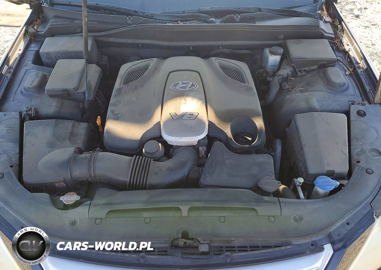 2010 Hyundai Genesis 4.6L VIN:KMHGC4DF5AU105621 - 11