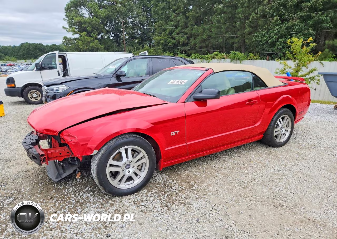 2005 Ford Mustang Gt VIN:1ZVFT85H555203715 - 1
